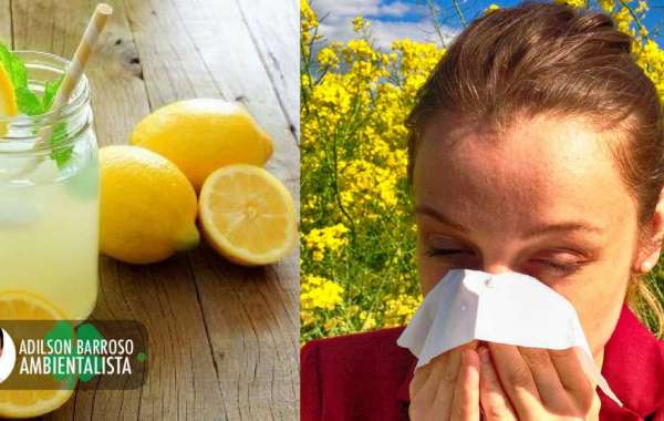 Remédios caseiros para combater alergia