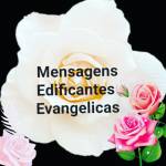 Mensagens Edificantes Evangelicas Profile Picture