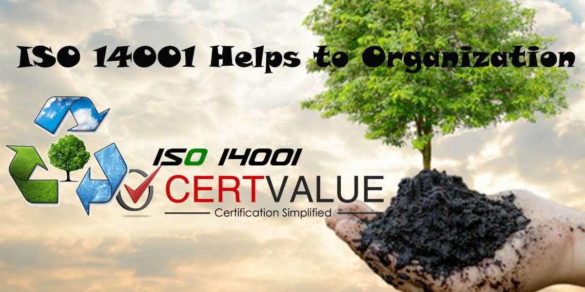 How can ISO 14001 implementation contribute to sustainability?