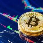 bitcoin trader Profile Picture
