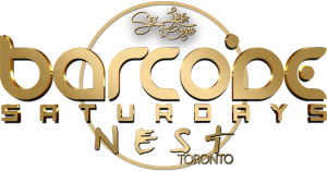 The Premier Toronto Nightclub for a Wild Saturday