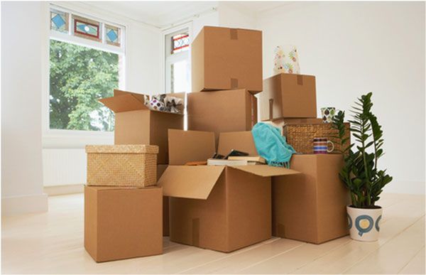 Sutherland Shire Removals & Storage | Shire Removalists