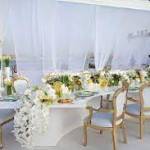 Turn Key Event Rentals Profile Picture