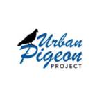 Urban Pigeon Project Profile Picture