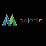 Digital Polaris Profile Picture