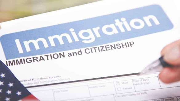 How Immigration Consultants Foster International Connections