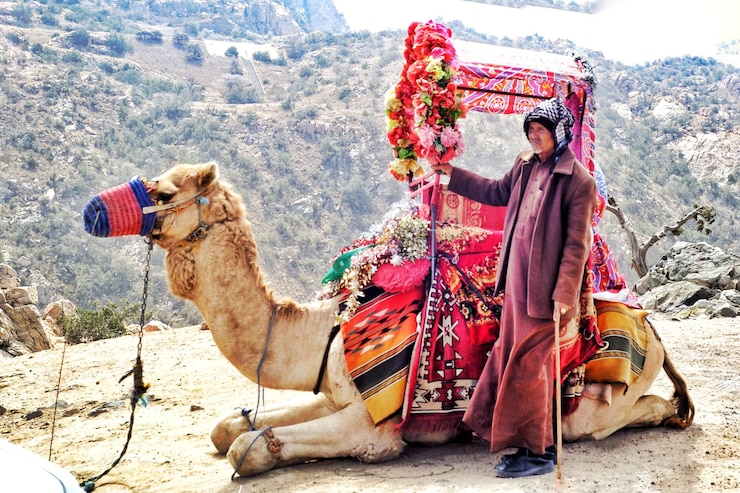 Premier Travel Agency in Rajasthan: Unleashing Adventure