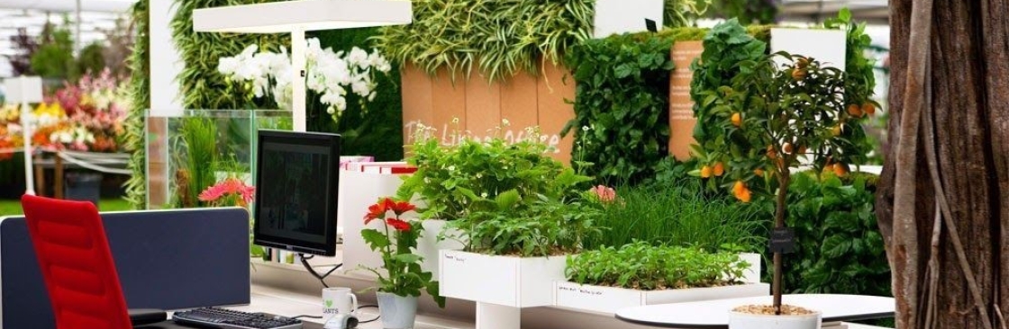 foliage plant pots melbourne Cover Image