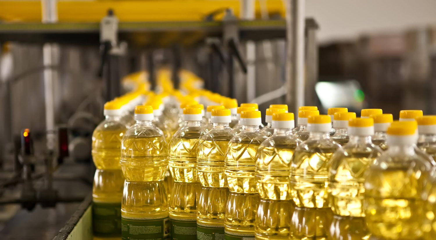 Manufacturer of Kachi Ghani Oil: Exploring the Culinary Uses and Recipes
