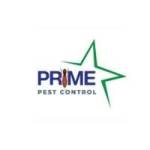primepestcontrols Prime Pest Control Profile Picture