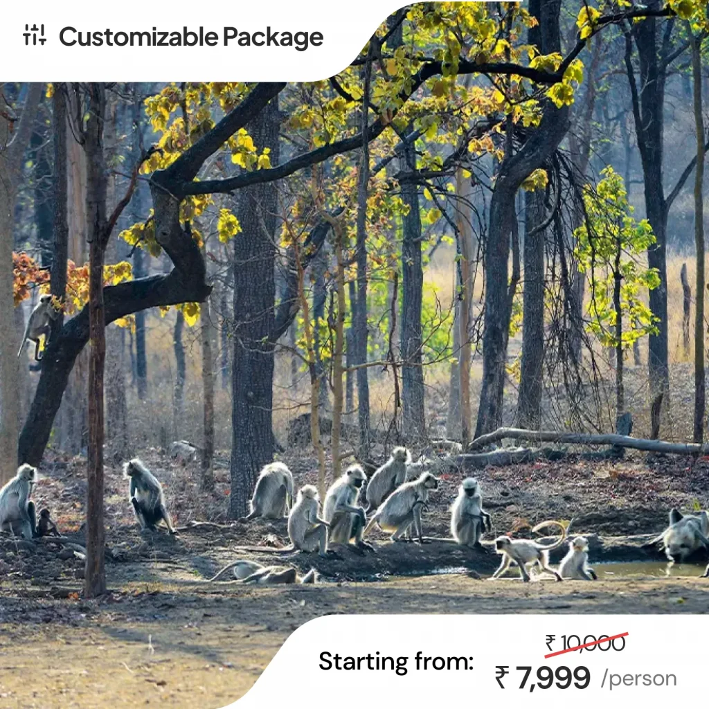 #1 Unforgettable Pench National Park Tour Package Ex. Nagpur