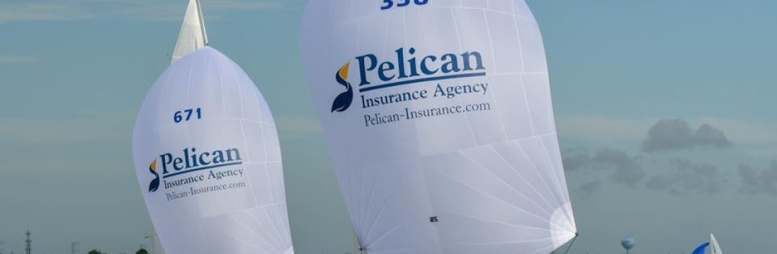 Pelican Insurance Cover Image