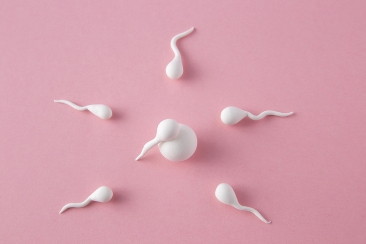 Sperm Collection for IVF: Your Ultimate Guide