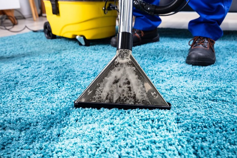 The Best Carpet Stain Removers: Cleaning and Restoration Products That Deliver Professional Results – Pro's Choice