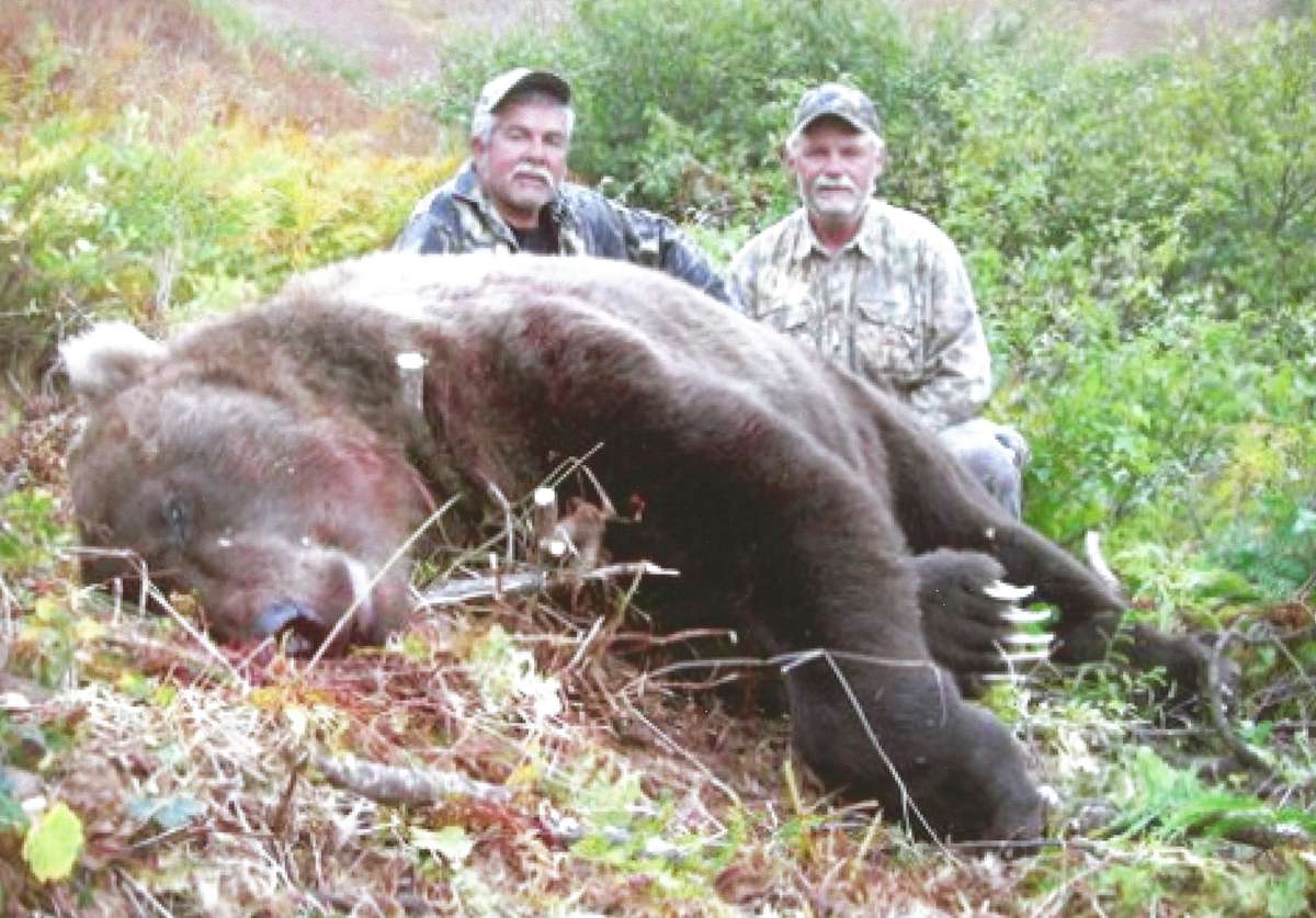 Alaska Brown Bear Hunts - Premier Brown Bear Hunting in Alaska | Alaska Bush Adventures