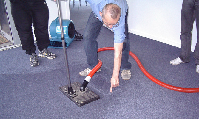 Why does everyone prefer carpet water damage professionally?