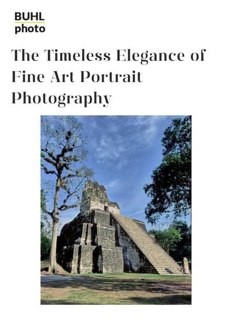 The Timeless Elegance of Fine Art Portrait Photography | PDF | Free Download