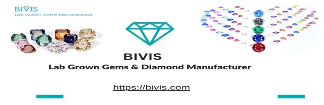 Bivis Cover Image