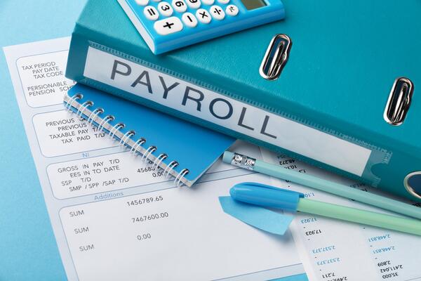 Why Pay Stub Generators Are Mandatory for Payroll Compliance - Professional Community Article By Online Bill Generator