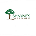 Professional Tree Removal Services in Rockingham and Warnbro: Shaynes Tree Services is Here to Help! | by Shayne’s Tree Services | Dec, 2024 | Medium