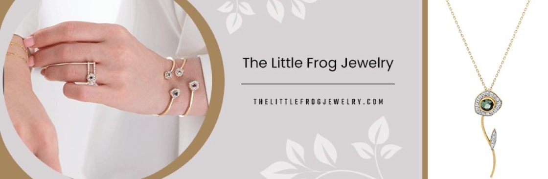 The Little Frog Jewelry Cover Image