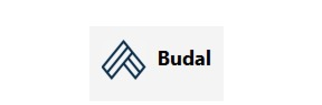 Budal Info Cover Image