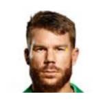 David Warner Profile Picture