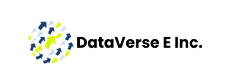 Dataverse E Inc Cover Image