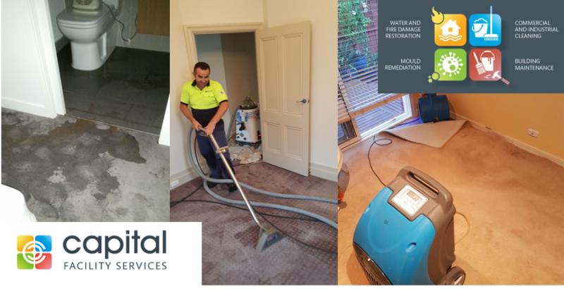 Restoring Your Carpets From Flood Damage With Advanced Equipment