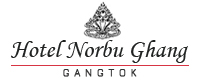 Low Price Hotel in Gangtok MG Marg | Hotel Norbu Ghang