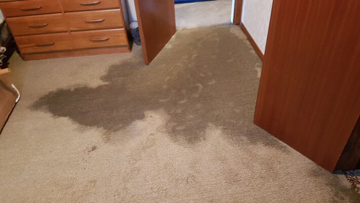 Professional Flooded Carpet Cleaning For Quick Restoration