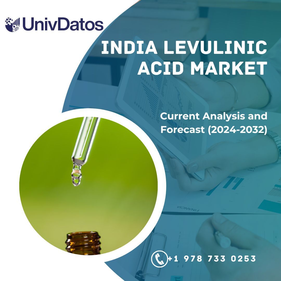 India Levulinic Acid Market: Current Analysis and Forecast (2024-2032)