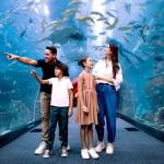 Dubai Aquarium Underwater Zoo profile picture