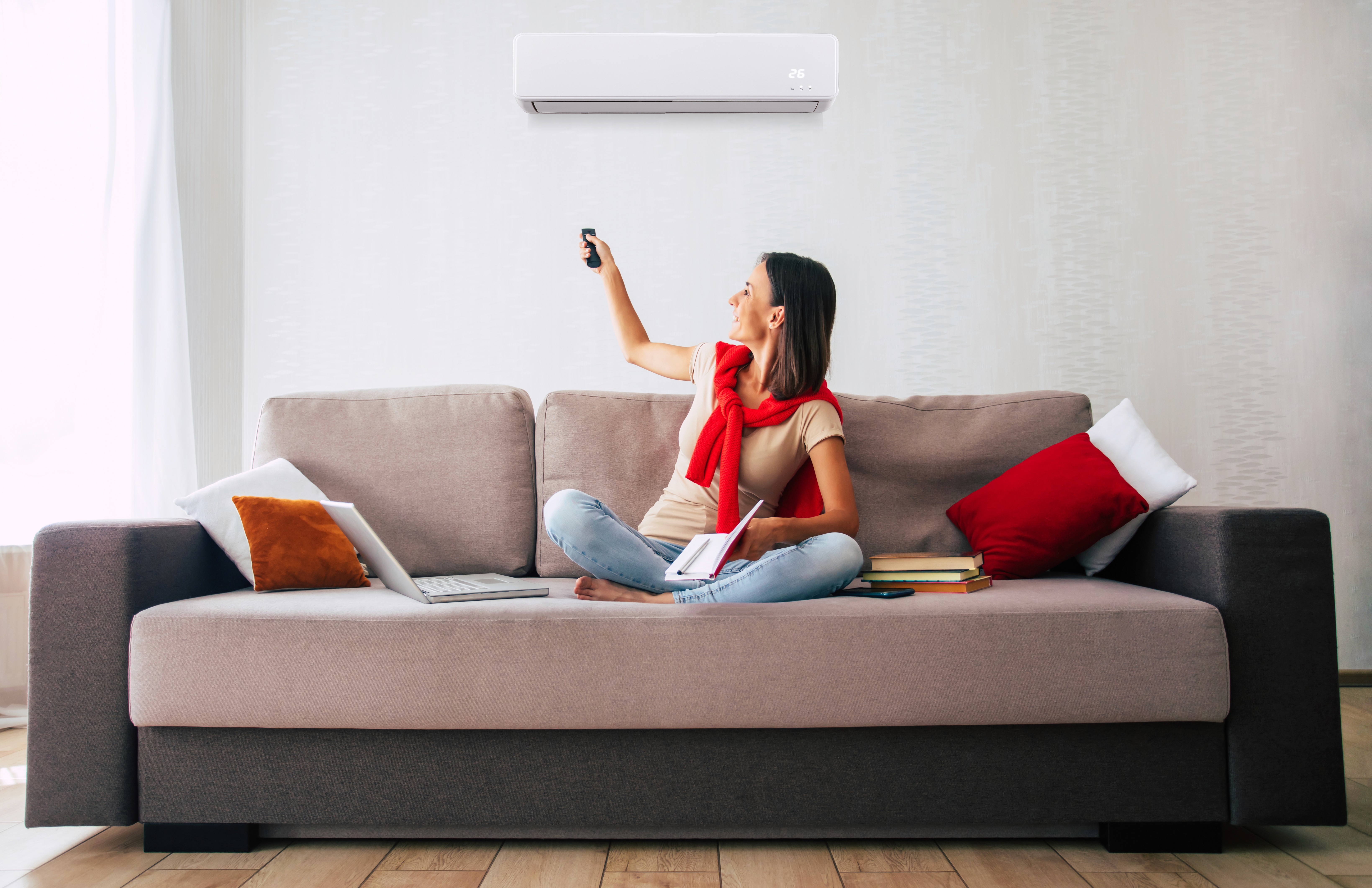 Case Study: Unveiling the Features That Influence Air Conditioner Purchases