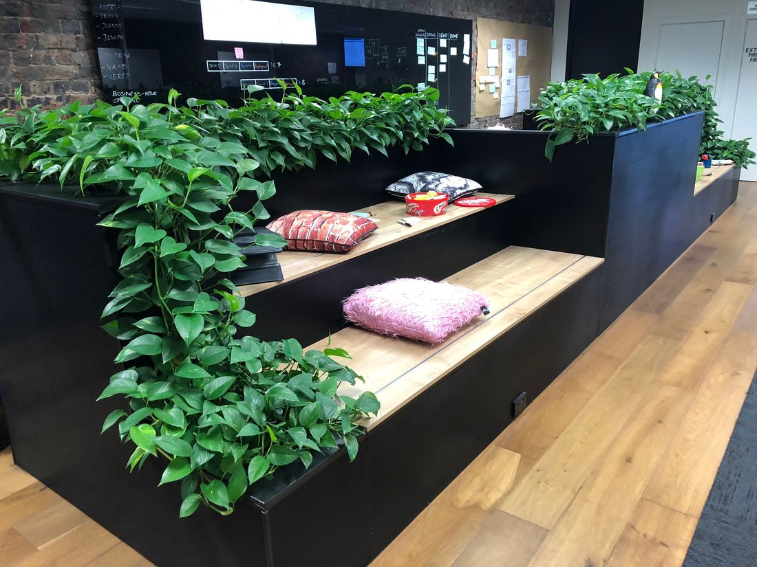 Enhance Your Space with Indoor Plant Hire: The Ultimate Green Solution