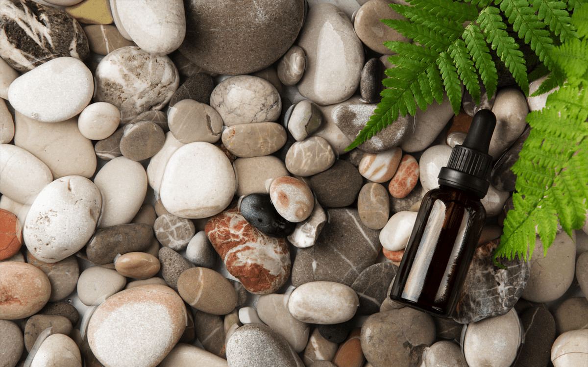 5 Best Essential Oils for Camping and Outdoor Activities                                        – Cliganic