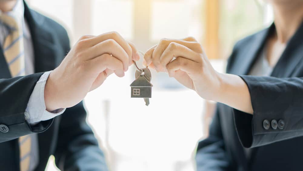 How does a Prominent Equity Transfer Solicitor Forge New Standards for Their Peers? | Vipon
