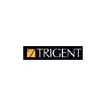 trigent Profile Picture