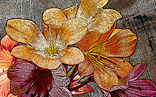 Buy Digital Art Online | Fine Art Prints | Mojarto