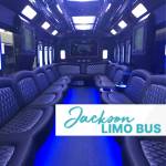 Jackson Limo Bus Profile Picture