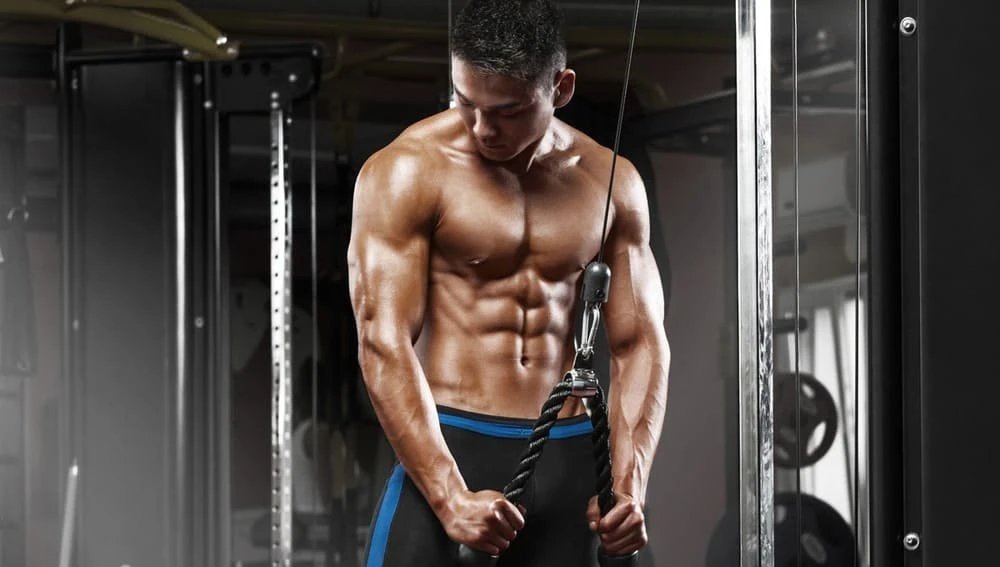 Top Fat Burning Steroids for Weight Loss Goals | Steroidsdeal