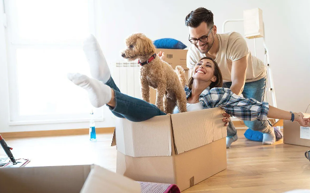 Man and Van vs. Full Moving Company — What’s Best for You? | by eXpert Man and Van | May, 2025 | Medium