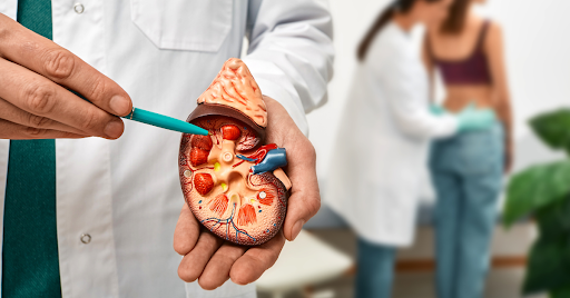 A Comprehensive Guide to Kidney Cancer Treatment in Delhi with Dr. Anshuman Agarwal | by Dr. Anshuman Agarwal | May, 2025 | Medium