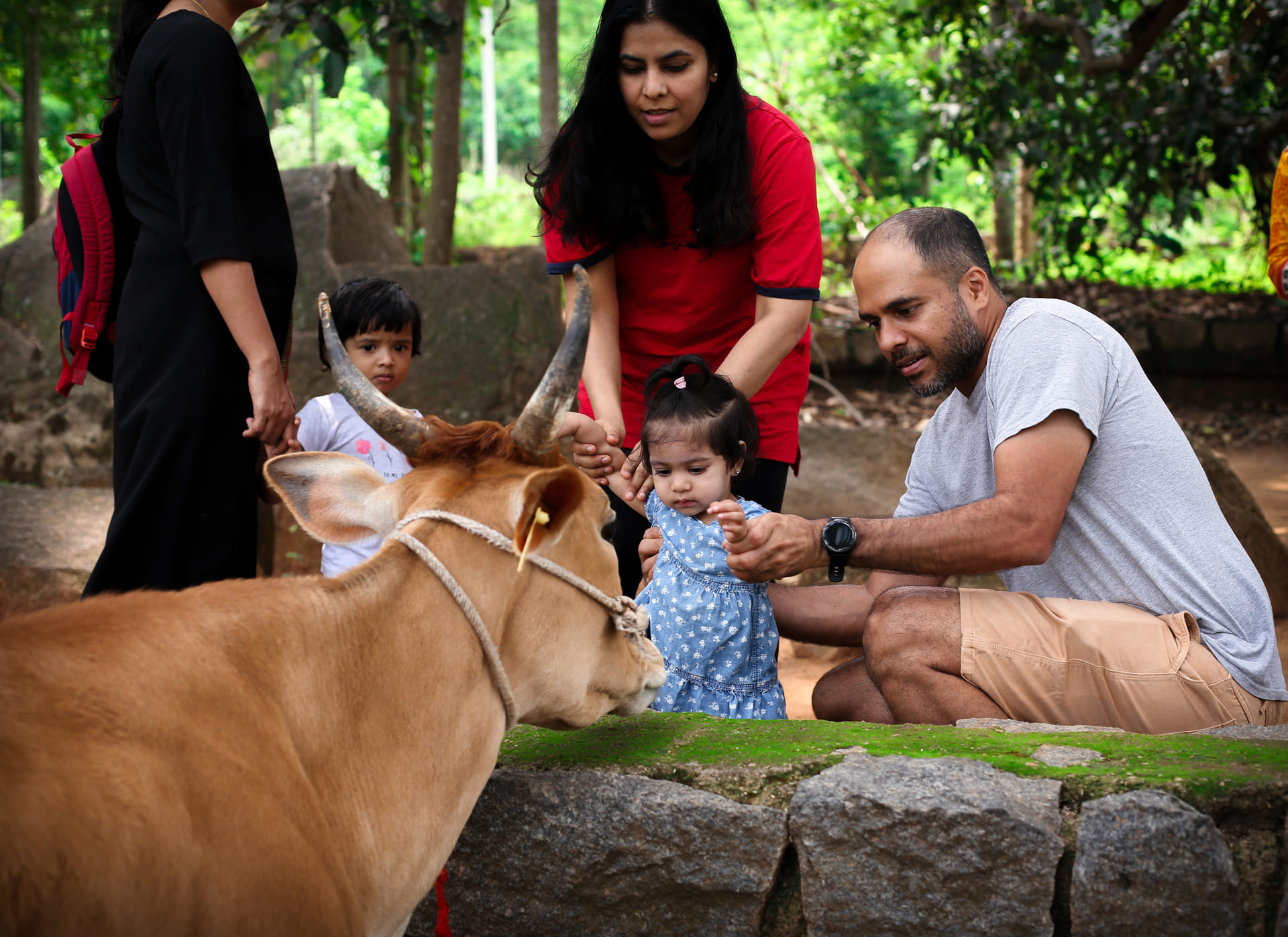 Reasons Why Children Should Visit A Farm Stay in the Summer Holidays - Big Barn