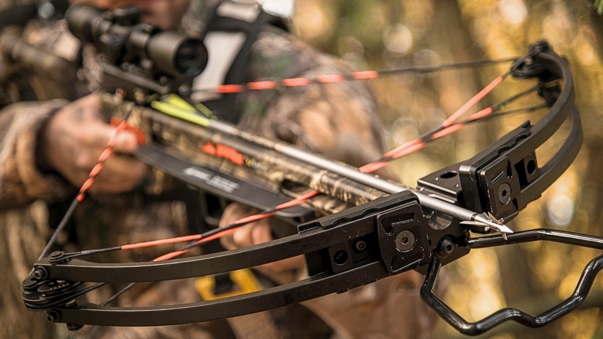 How to Buy the Best Crossbow for Hunting