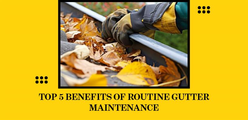 Top Benefits of Routine Gutter Maintenance for Your Home