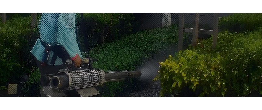 Pest Control: Choose the Right Service for Your Needs