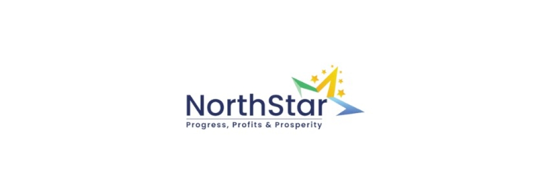 North star Global Cover Image
