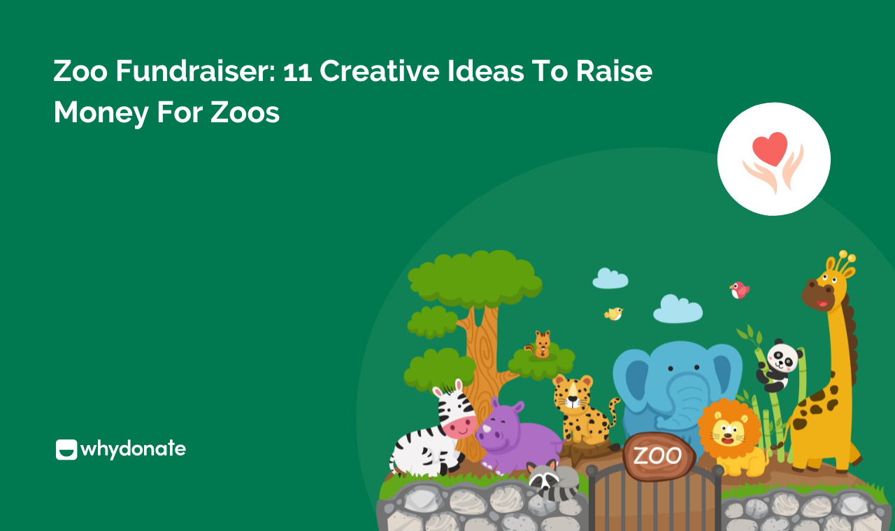 Zoo Fundraiser: 11 Creative Ideas To Raise Money For Zoos