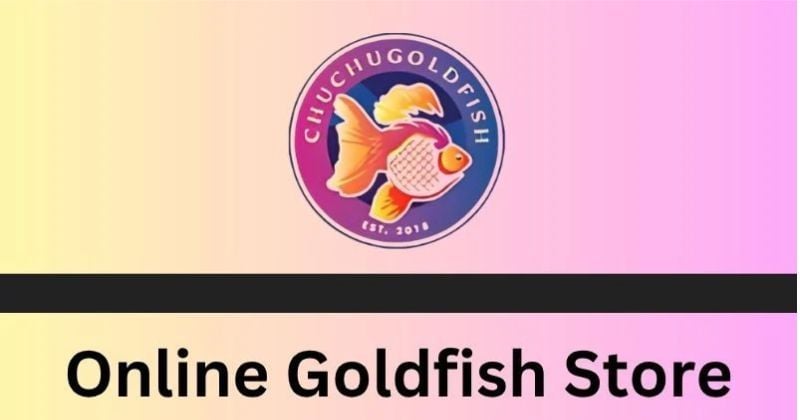 Buy Gold Fish Online USA